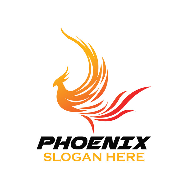 Creative Phoenix logo Set vecteur 01  