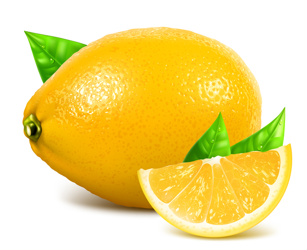 新鮮なレモンの葉ベクター素材 01  