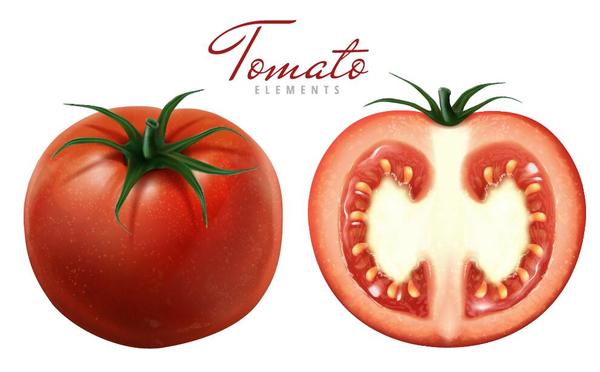 Frische Tomate mit Scheibenhintergrundvektor  