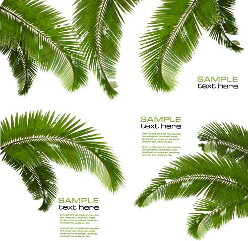 Green palm leaves backgrounds vector 03  