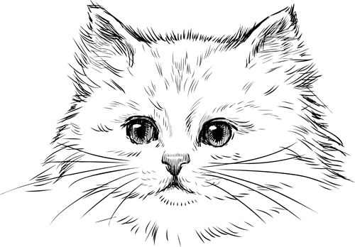 Hand drawn cats head vector set 02  
