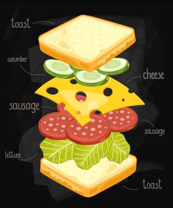Infographic Vektor 04 der Sandwichbestandteile  