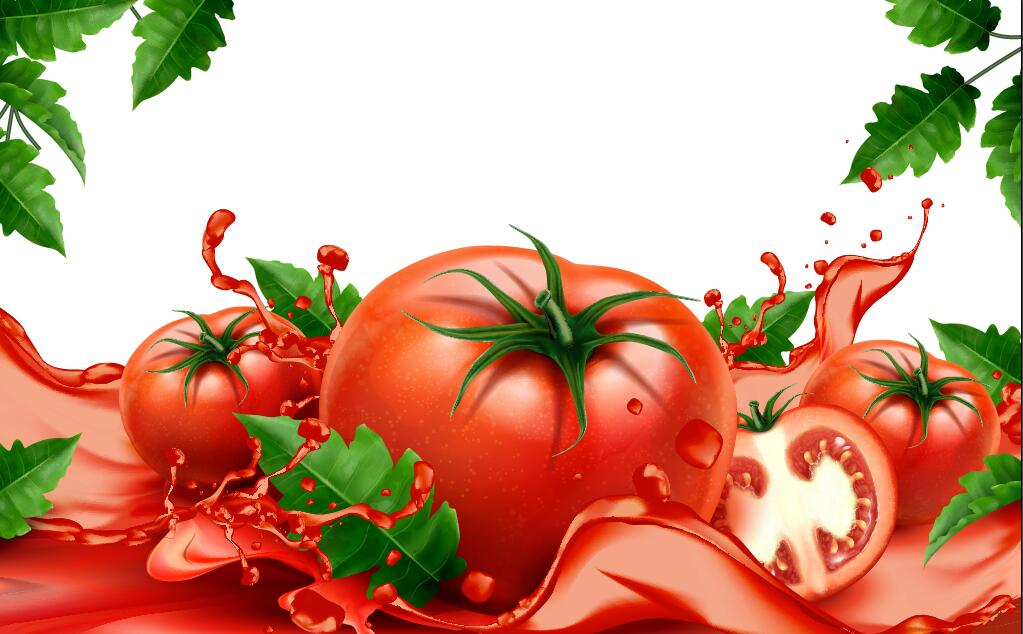 Tomatensaft mit weißem Hintergrundvektordesign 01  