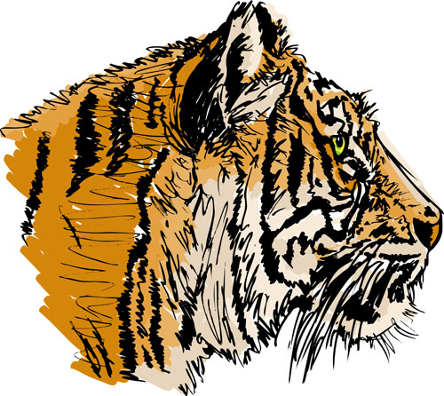 Set of tiger elements vector 03  