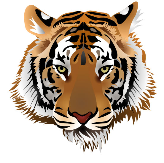 Set of Tiger vector picture art 03  