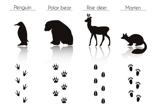 Animals with footprint silhouette vector material 06  