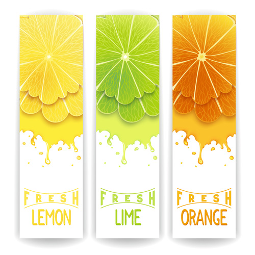 Banner fresh fruit drink vector 01  