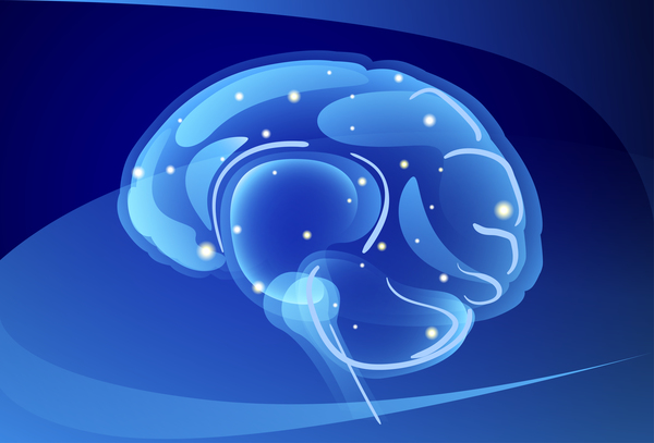 Neurones du cerveau avec des vecteurs de fond bleu 03  