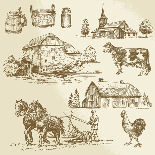 Farm and poultry hand drawn vector 04  