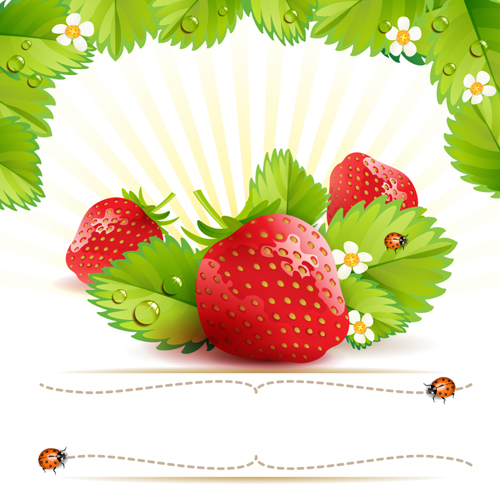 Fresh Strawberry vector 01  