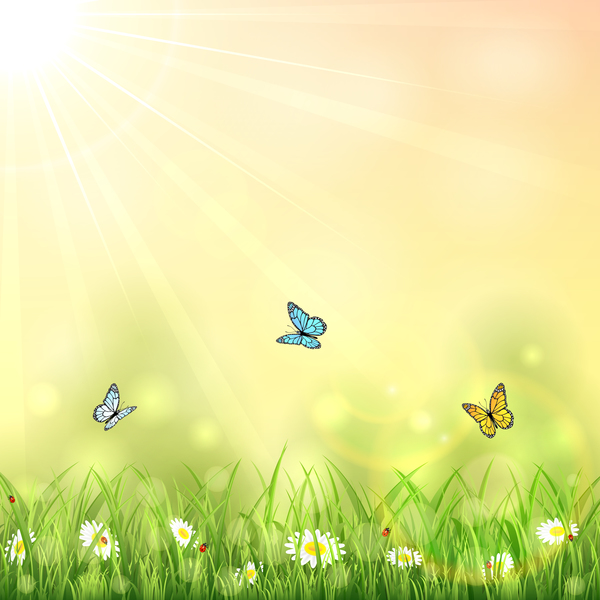 Nature background with butterflies vector  