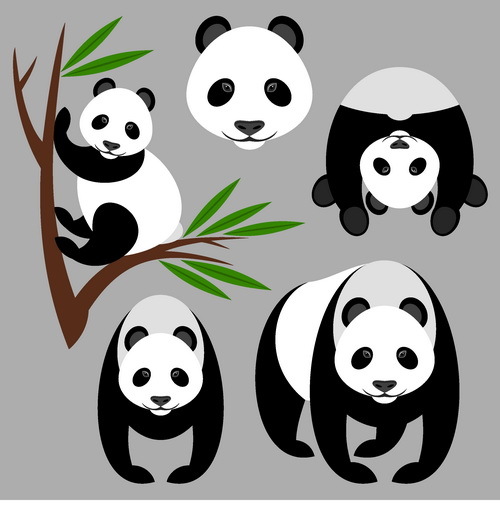 Vecteur de panda et bambou  