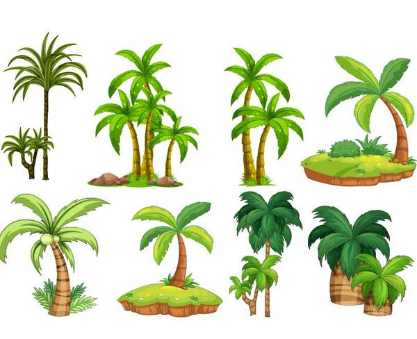 arbre tropical illustration vecteur 04  