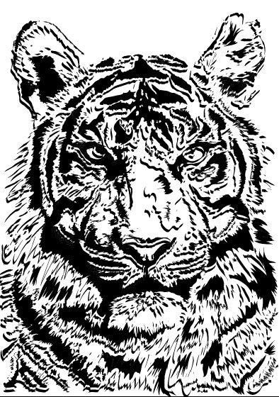 Set of Tiger vector picture art 02  