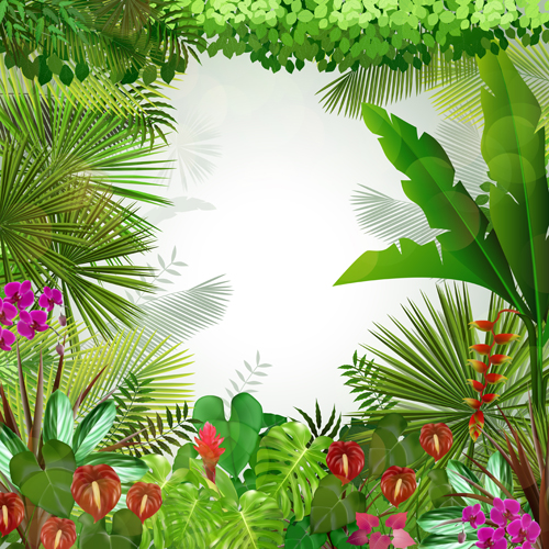 Beautiful tropical scenery vectors graphics 03  