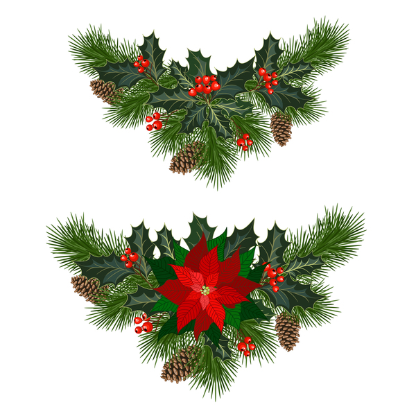 Christmas pine branches with holly ornaments vector illustration 03  