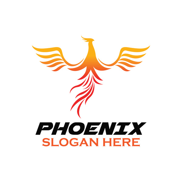 Kreative Phönix-Logo-Set-Vektor 11  