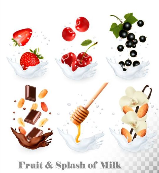 Fruit and splash milk vector illustration 04  