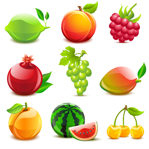 Elements of Various Glossy fruit vector 02  