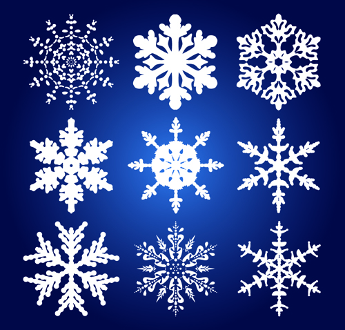 Different Snowflakes mix design vector material 01  