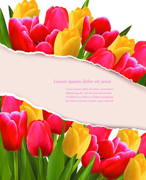Vivid Tulips backgrounds vector 03  
