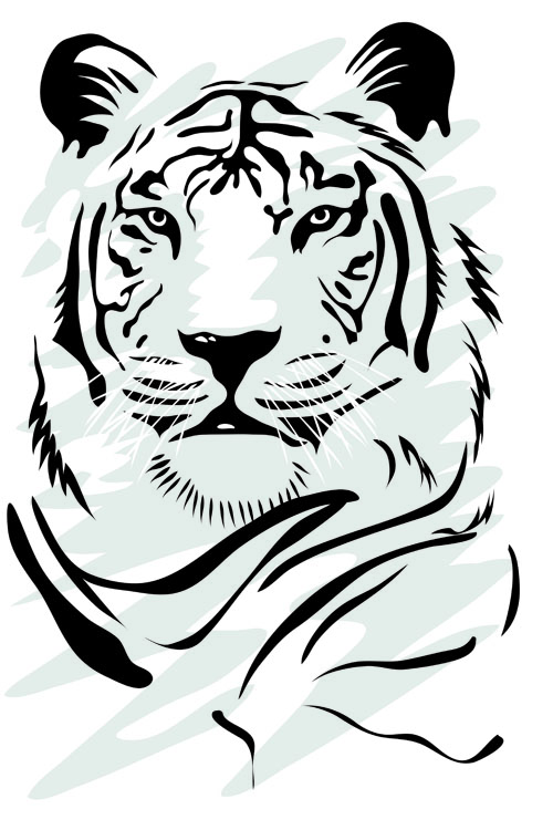 Set of tiger elements vector 02  