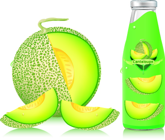 Cantaloupe Drinks with packing vector 04  