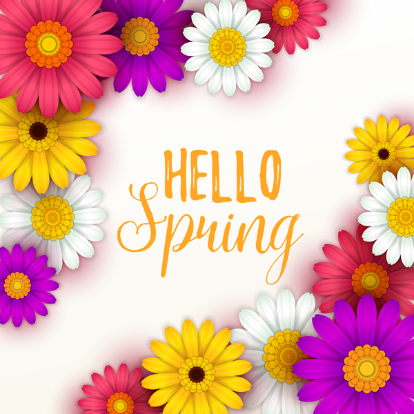 Farbige Blume mit hallo Frühlingshintergrundvektoren 06  