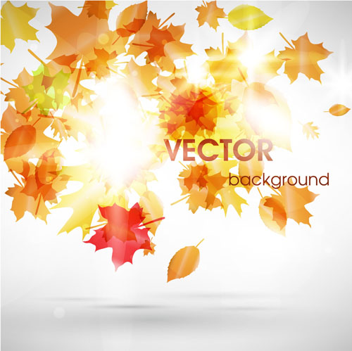 Halation autumn leaves art background vector 01  