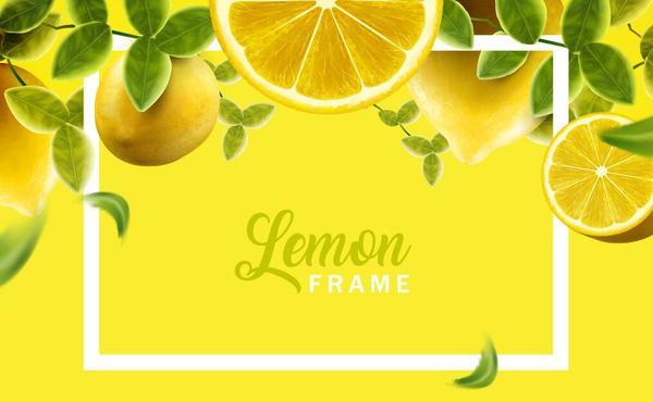 Lemon with white frame vector  