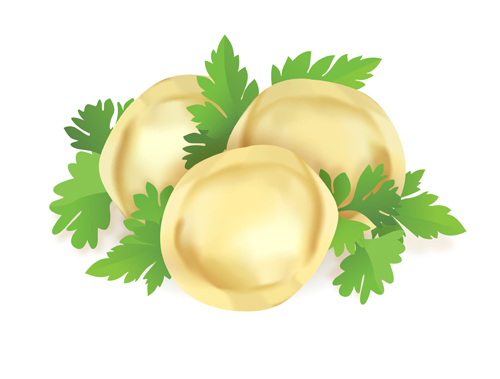 Delicious Pelmeni vector set 02  