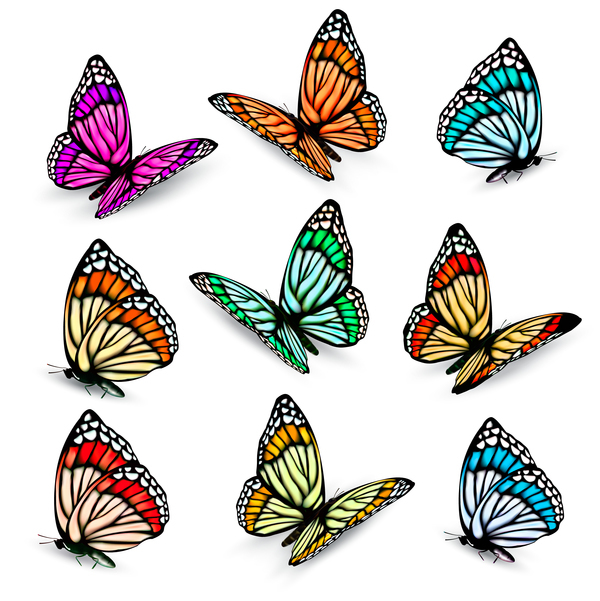 Set of colorful butterflies vector material 09  