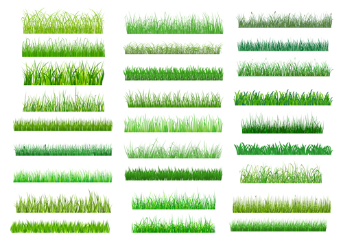 Spring grass borders vector material set 03  