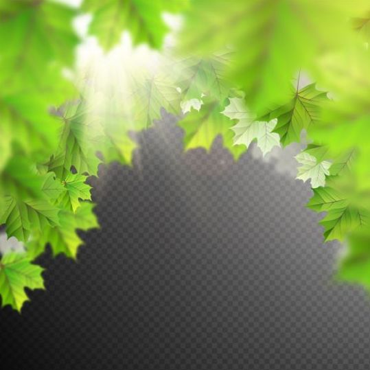 Summer leaves with sunlight background illustration 03  