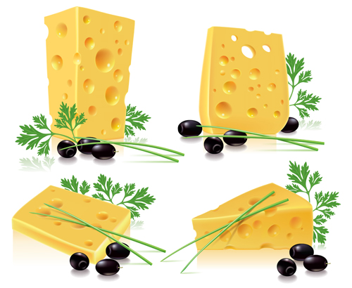 Tasty cheese food vector set 02  