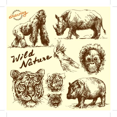 Wild animals hand drawing vectors set 06  