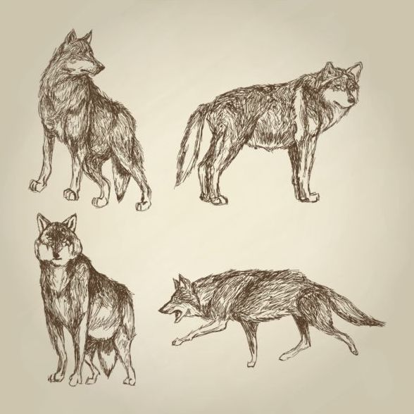 オオカミの手図面デザイン ベクター素材 10  