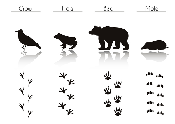 Animals with footprint silhouette vector material 05  