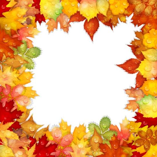 Autumn leaves frame with water dorp vector  