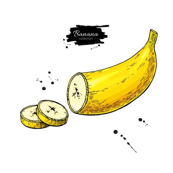 Banana slice hand darwing vector  