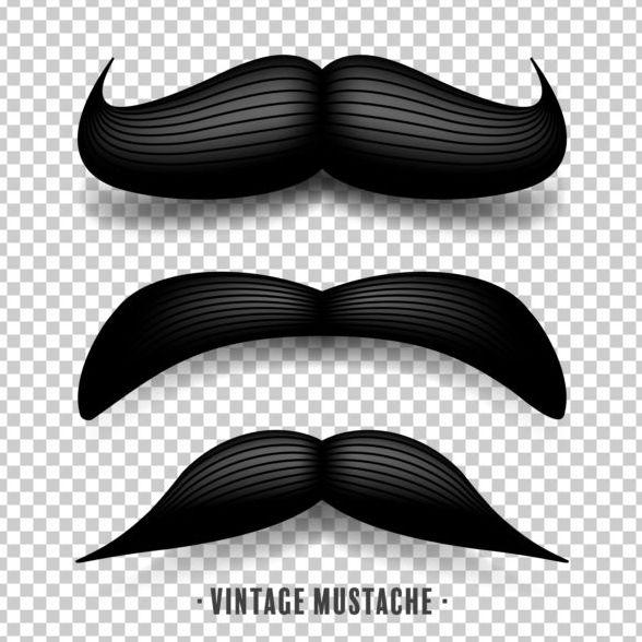 Moustache noire illustration vecteur 09  