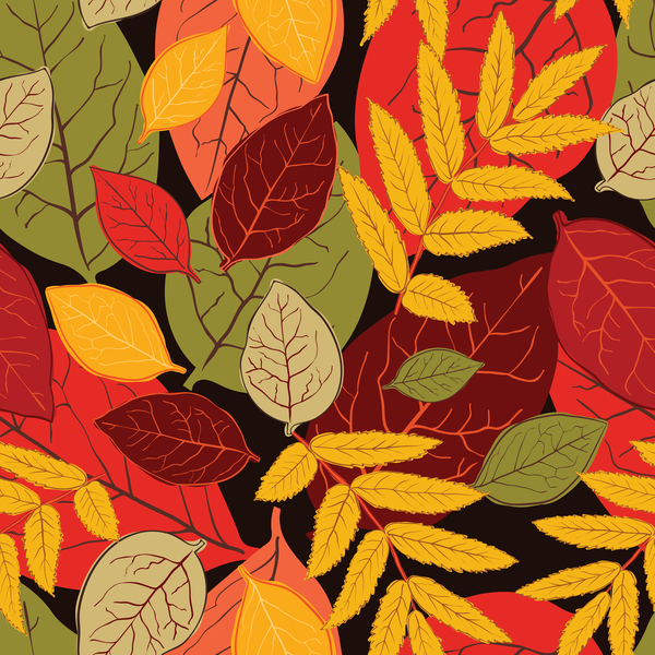 Colored autumn leaves seamless pattern vectors  