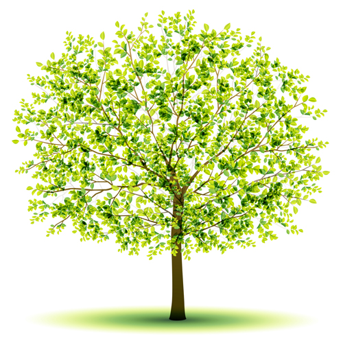 Creative green tree design vector graphics 03  