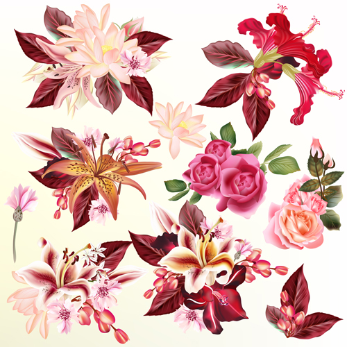 Flowers lily roseswith lotus and hibiscus vector set  