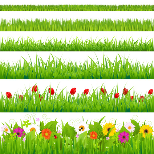 Grass with flower borders vector 01  