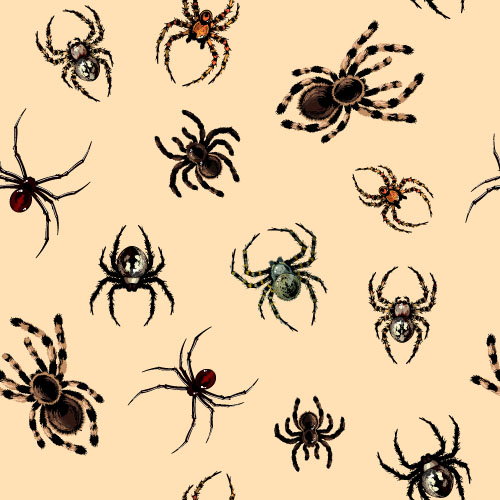 Vector spider seamless pattern design 02  