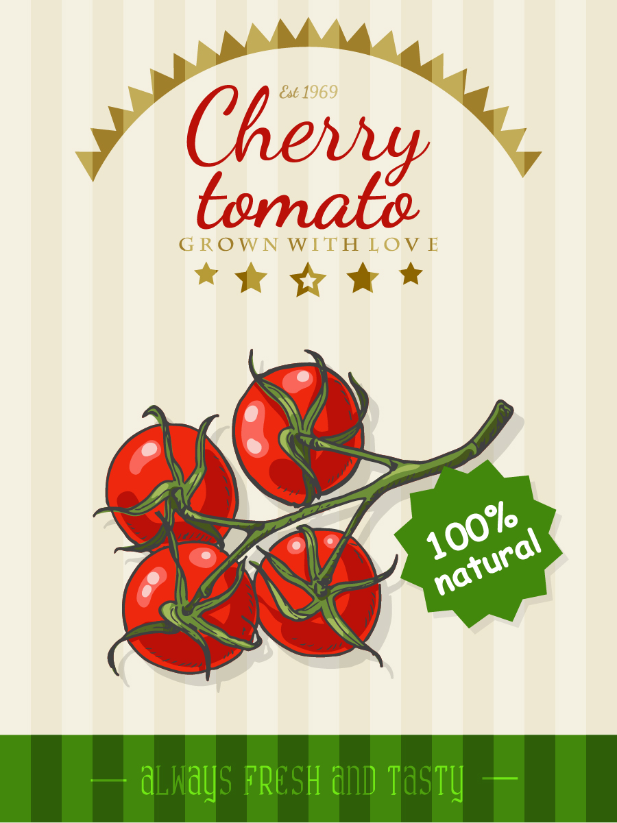 Cherry-Tomate Plakat Vorlage Retro-Vektor  