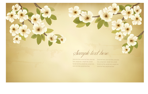 spring white flowers with vintage background 02  