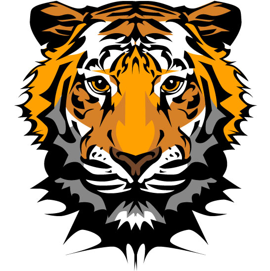 Set of Tiger vector picture art 20  