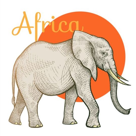 Africa elephant vector  